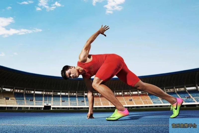 兰迪·强森在比赛中击中飞鸟的意外，成为棒球史上流传最广的画面